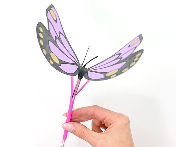 Craft for Butterfly