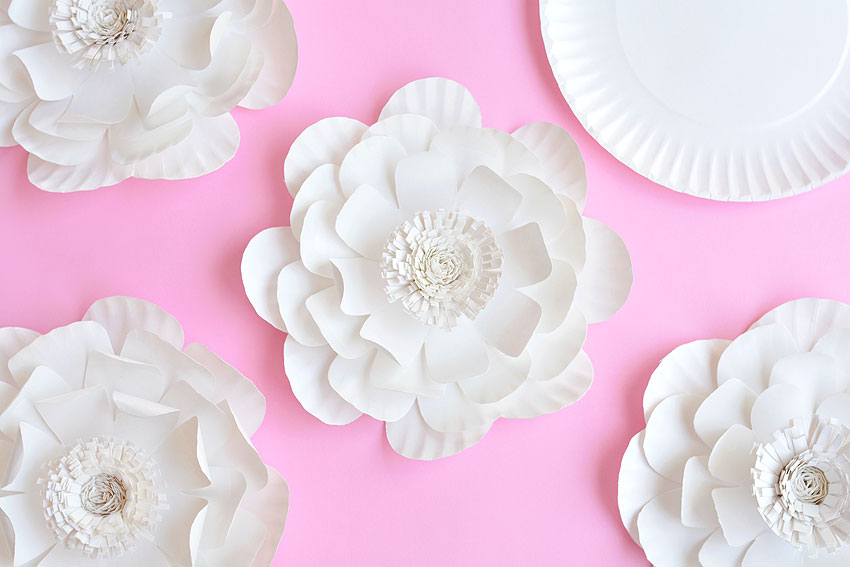 DIY paper flowers on a pink background with a paper plate beside them