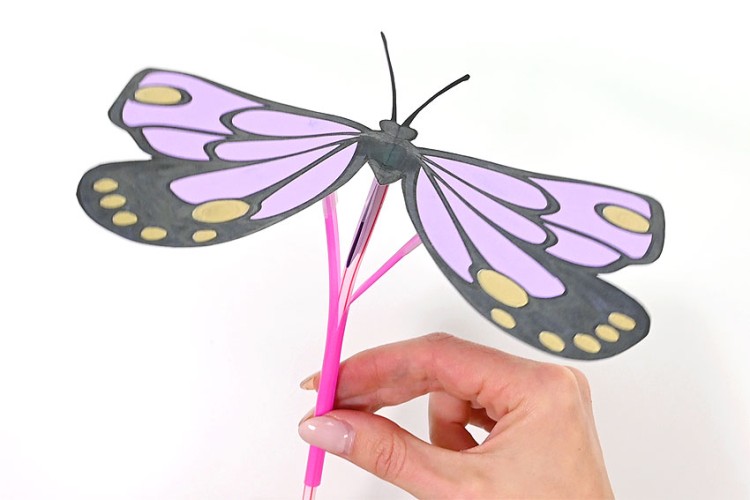 Flapping butterfly craft