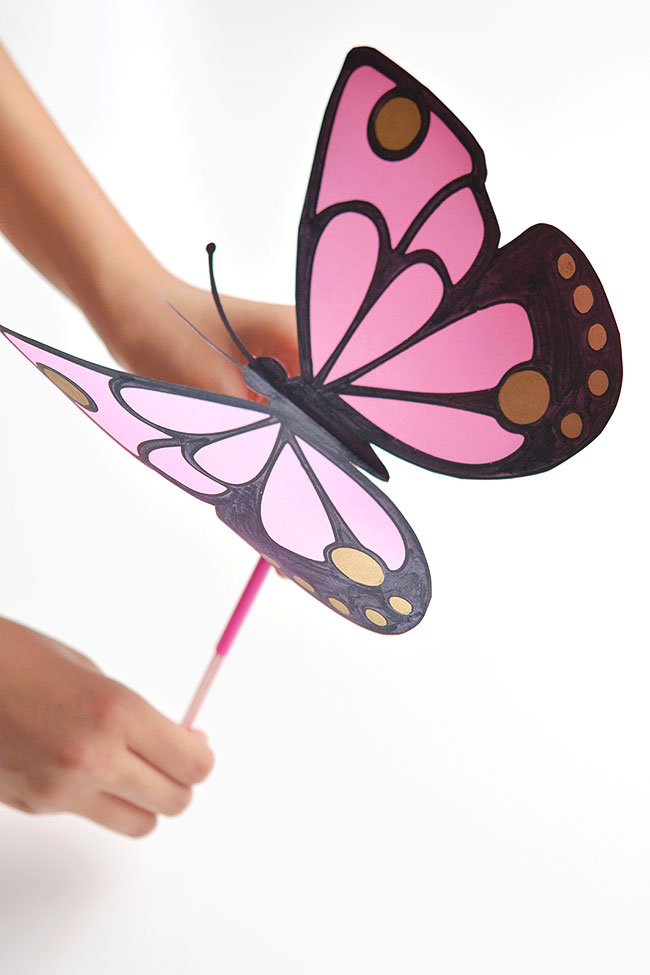 Pink flapping butterfly
