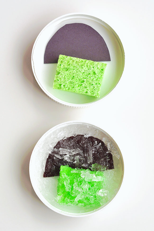 Before and after shots of growing epsom salt crystals