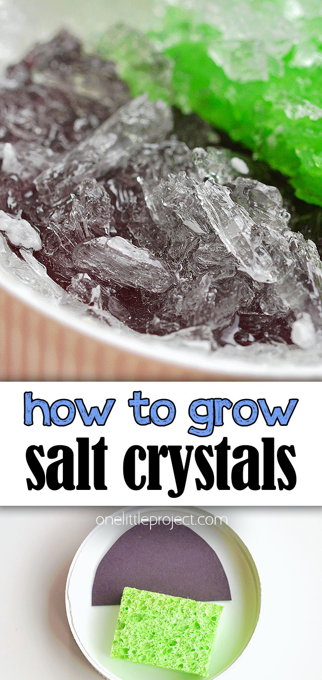 Pin image for how to grow salt crystals
