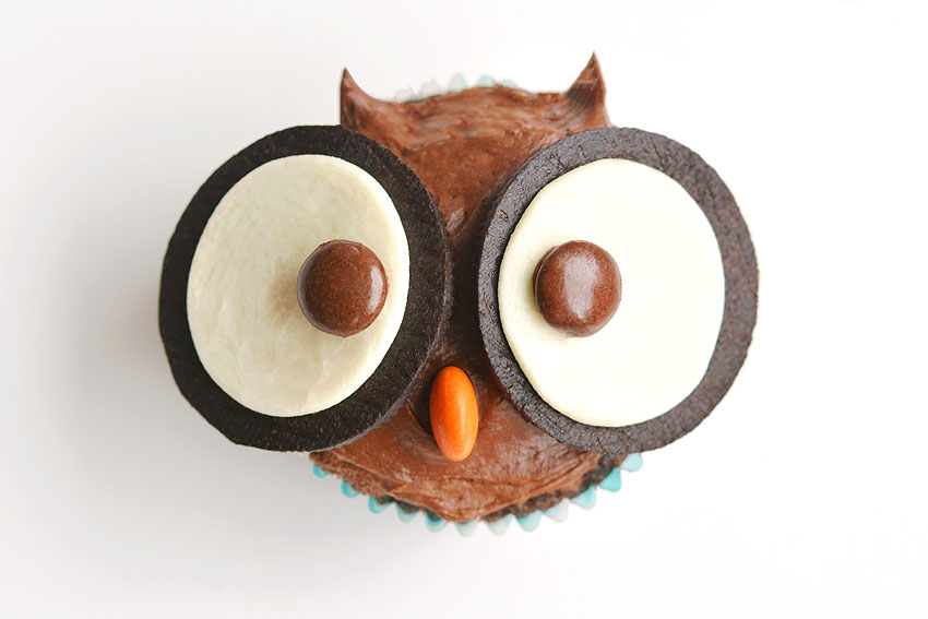 Owl Cake | Gail Bruwer | Flickr