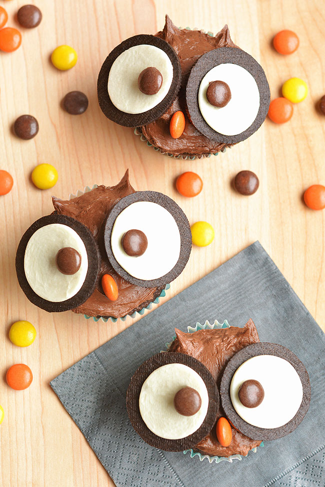 Owl cupcakes on a wooden background surrounded by reese's pieces