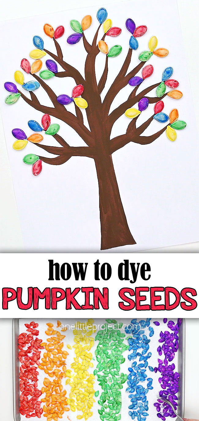Pin image for dyeing pumpkin seeds for crafts