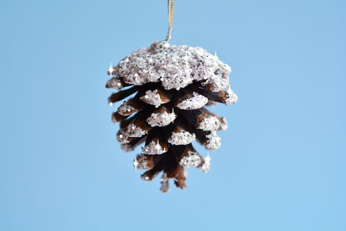 Frosted Pinecones