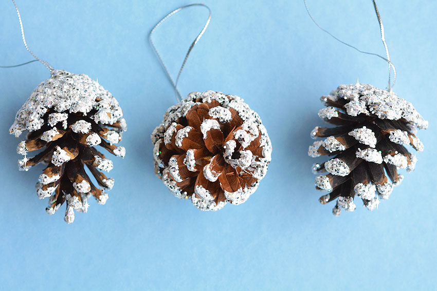 Frosted Pinecones  DIY Snowy Pine Cones