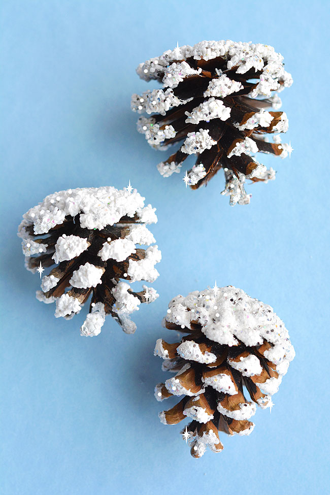 Three snowy pine cones sitting on a blue background
