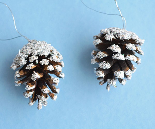 Snowy Pinecones