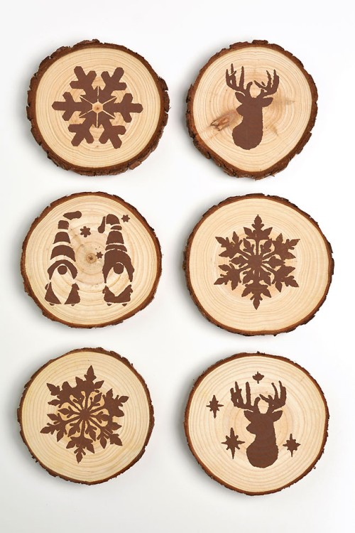 Winter Craft - Painted Coasters