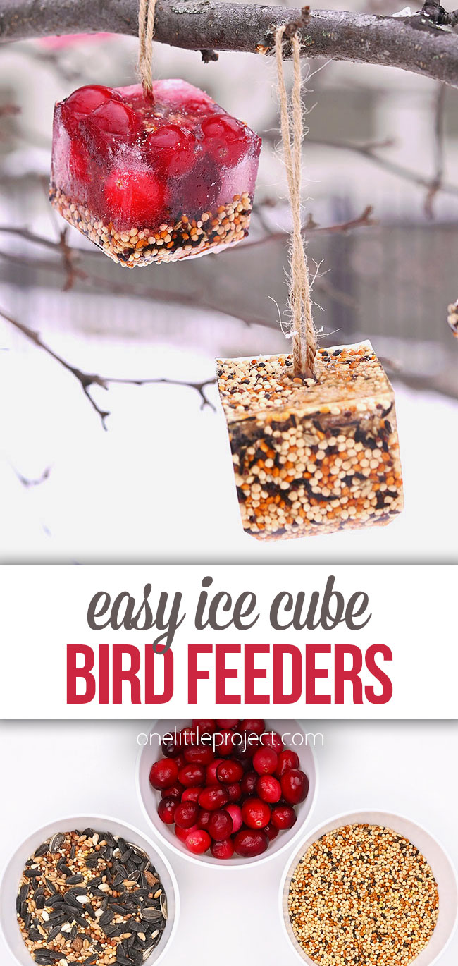Frozen bird feeder ice ornaments