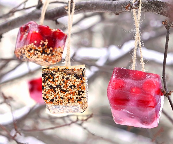 DIY Birdseed Ice Ornaments