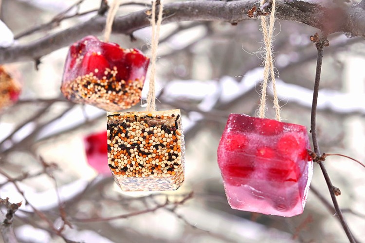 DIY birdseed ice ornaments
