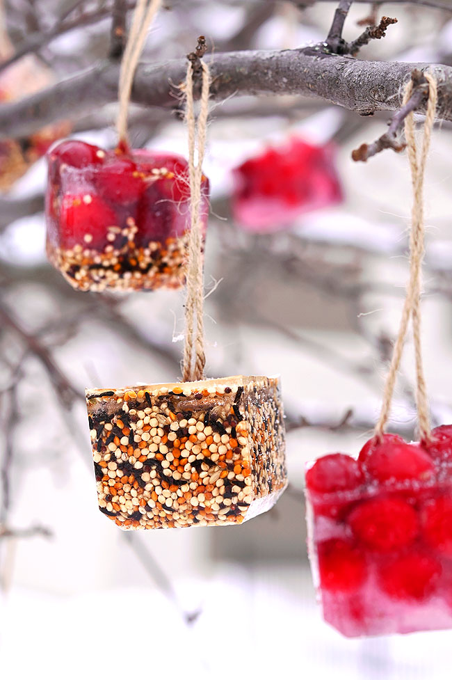 Hanging ice ornament bird feeders