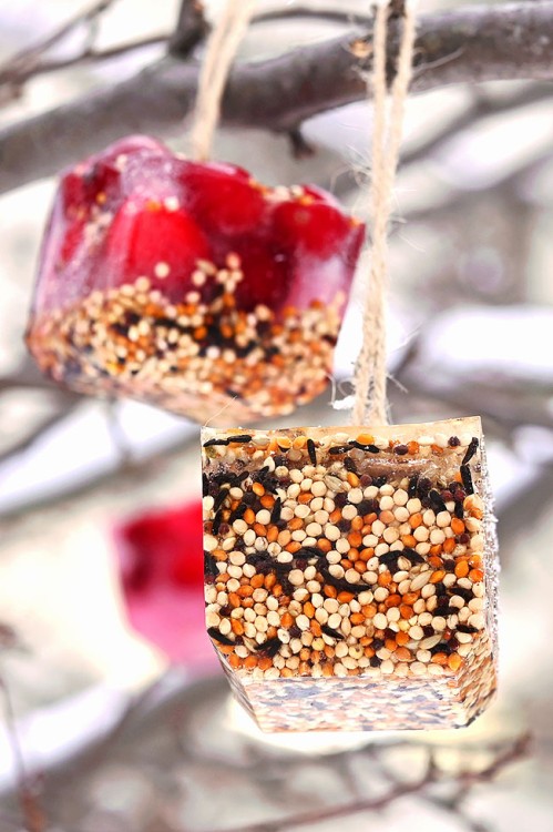 Winter Crafts for Kids - Ice Cube Bird Feeders