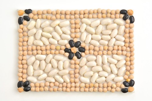 Bean Mosaic Art