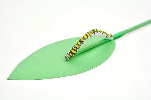 Caterpillar Craft