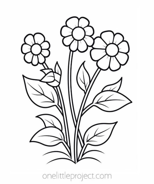 Coloring pages flower - round petal flowers