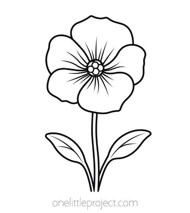 Flower coloring page - poppy