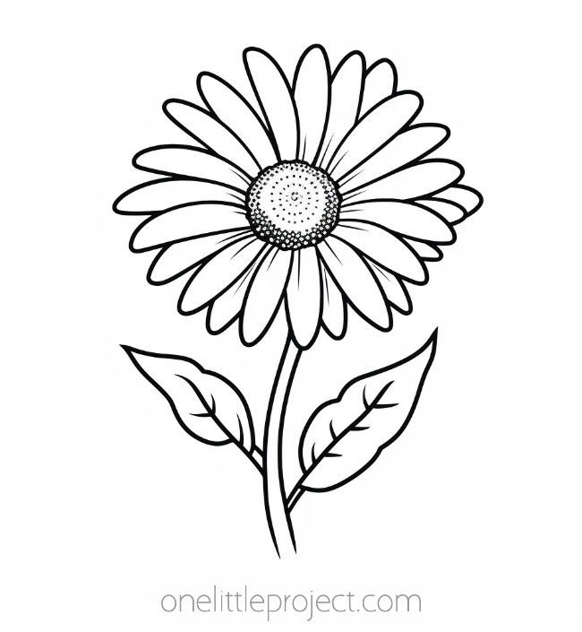 Flower coloring pages - daisy
