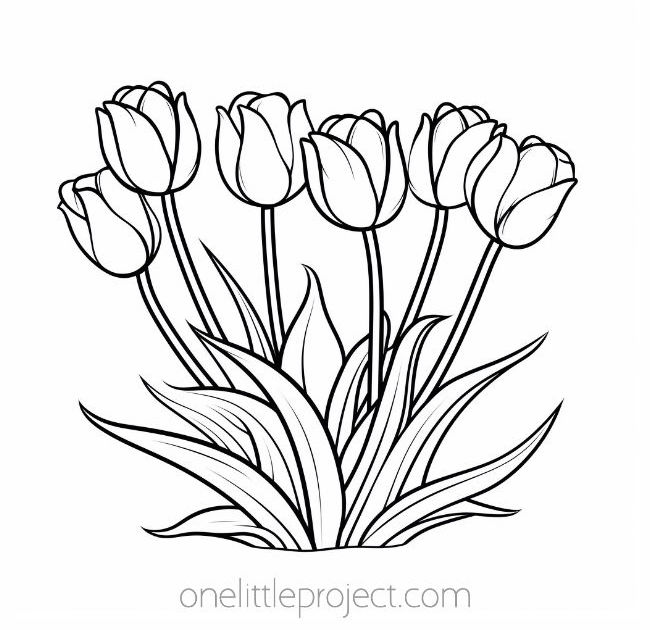 Flower coloring pages - tulips