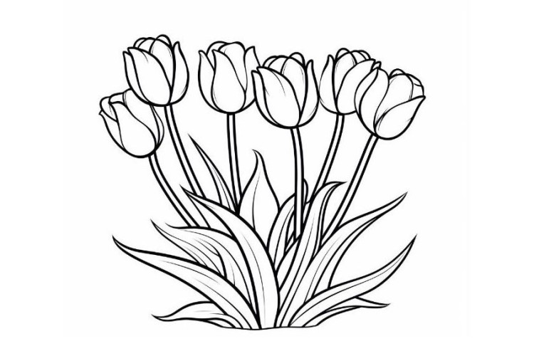 Free, printable flower coloring sheets