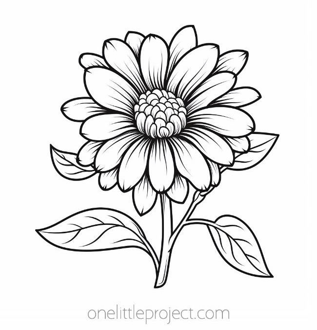 Flower coloring sheets - coneflower
