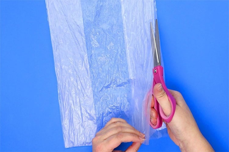 Jellyfish in a Bottle: A Simple Experiment for Kids