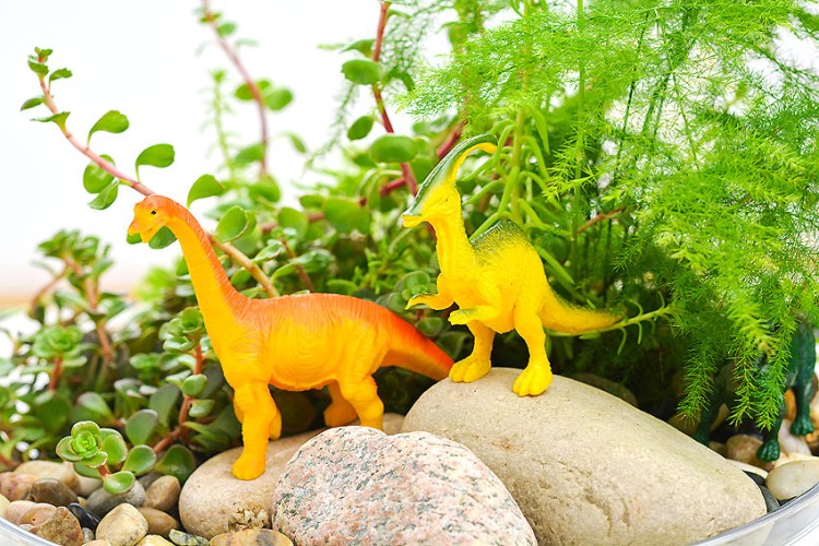Dinosaur garden ideas
