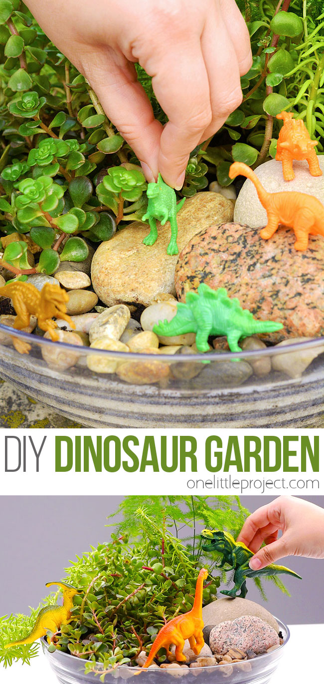 DIY mini dinosaur container garden