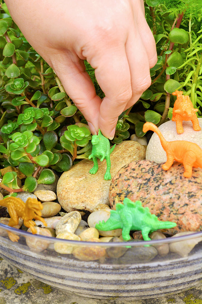 Pretend play in a mini dinosaur container garden