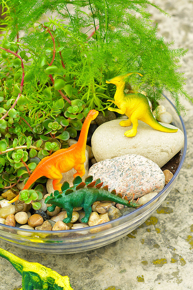 Dinosaur toys on the rocks in a mini fairy garden for dinosaurs