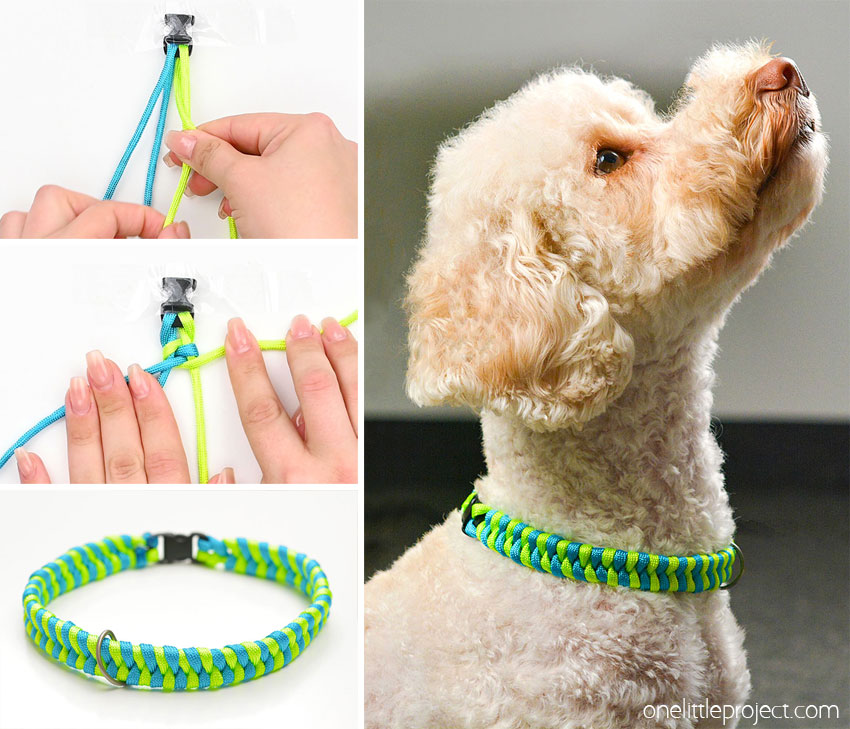 How to make a paracord dog collar