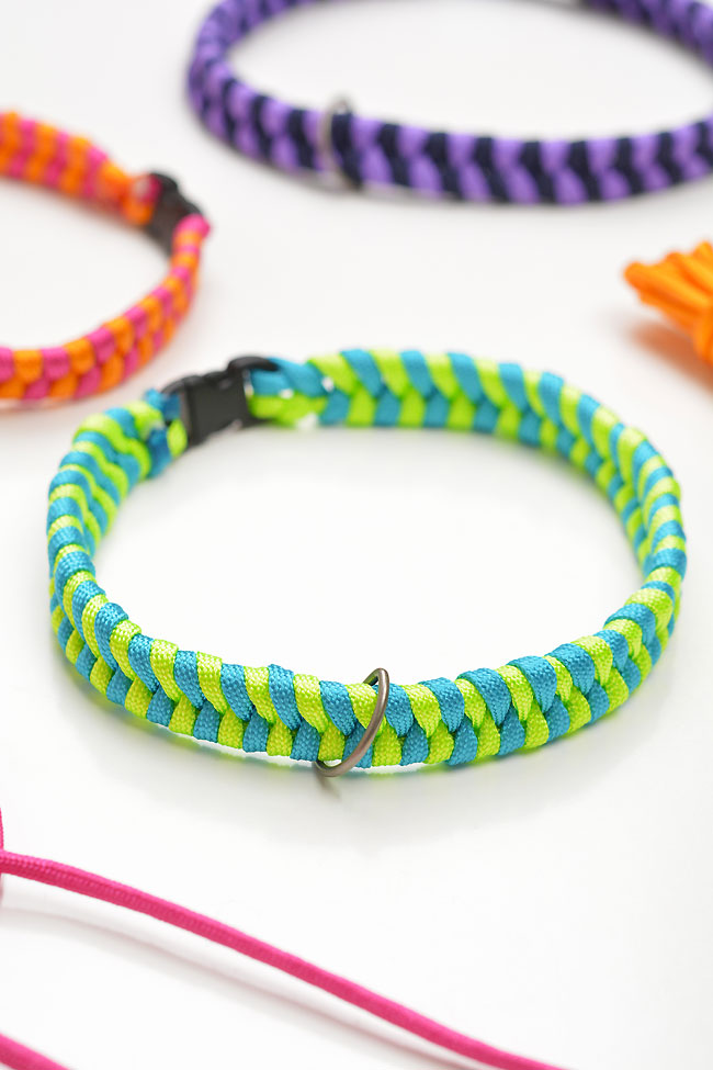 Paracord dog collar made with a fishtail knot
