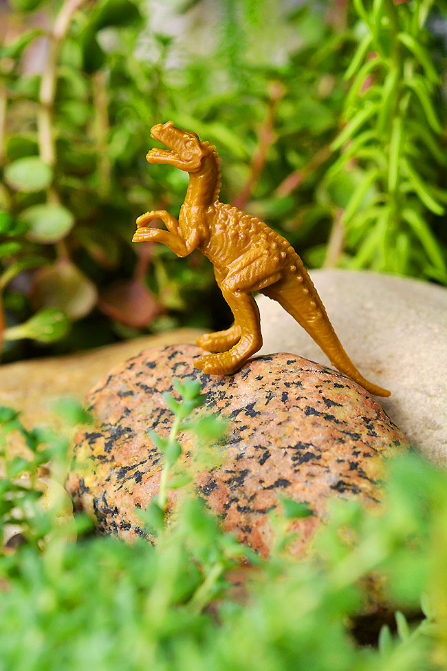 Closeup of a raptor toy enjoying the dinosaur garden