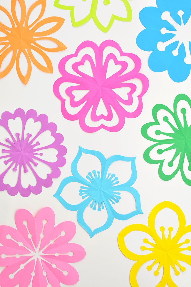 Bright and colorful paper flowers on a white background