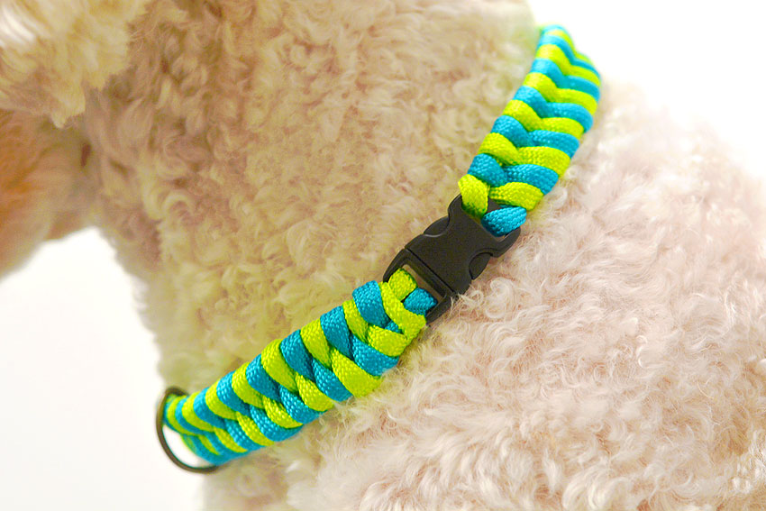 DIY Dog Collar - How to make your own custom dog collars!