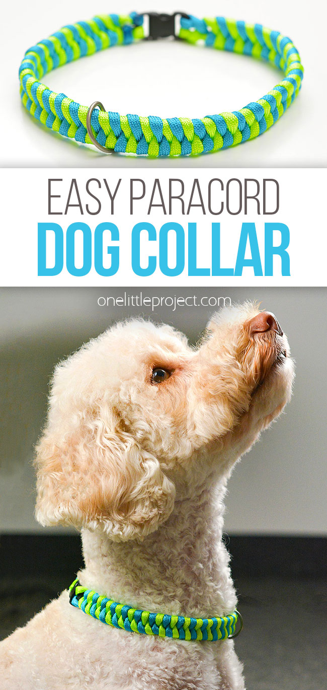Easy DIY dog collar from paracord