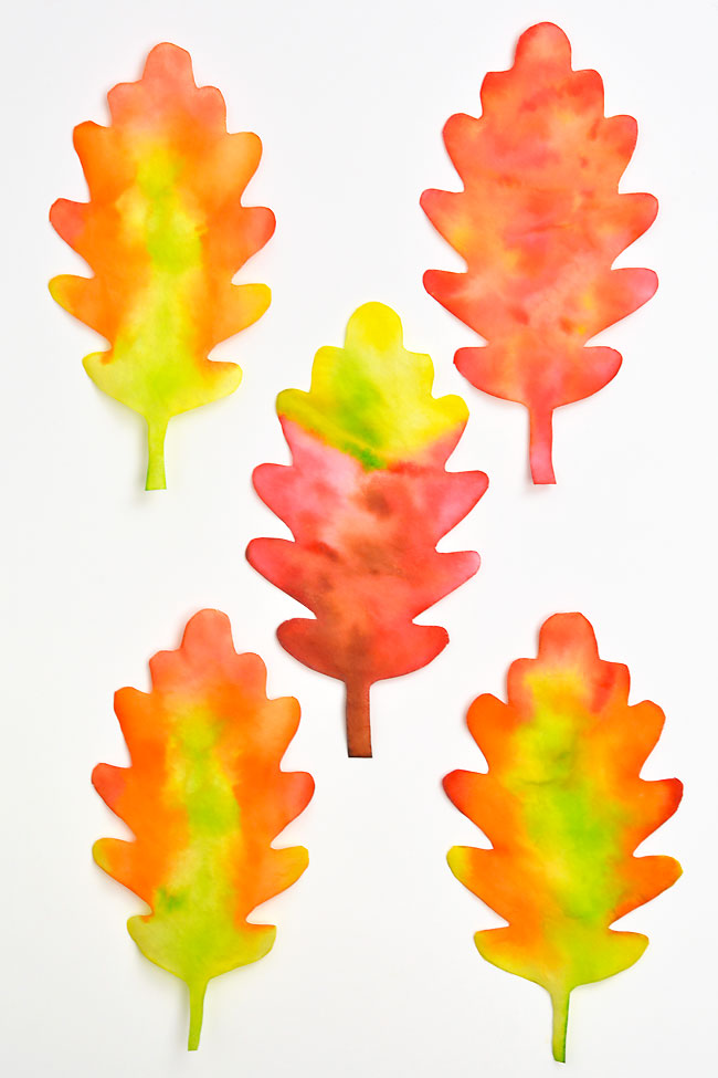 Group of coffee filter fall leaves coloured green, yellow, orange, and red