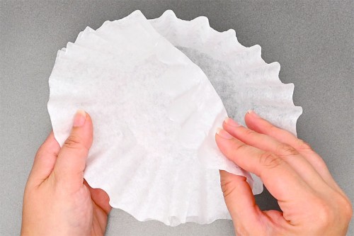 Coffee Filter Leaves