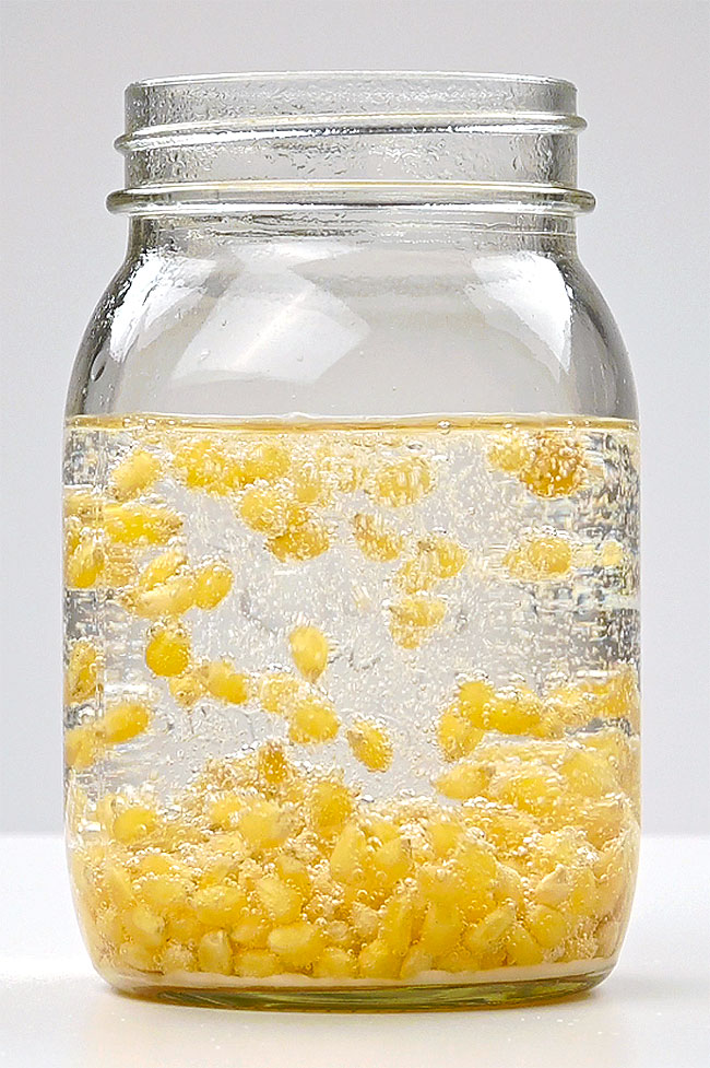 Fizzy reaction in a jar of dancing corn