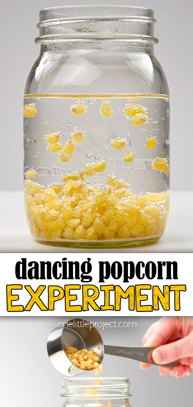 Dancing corn science experiment