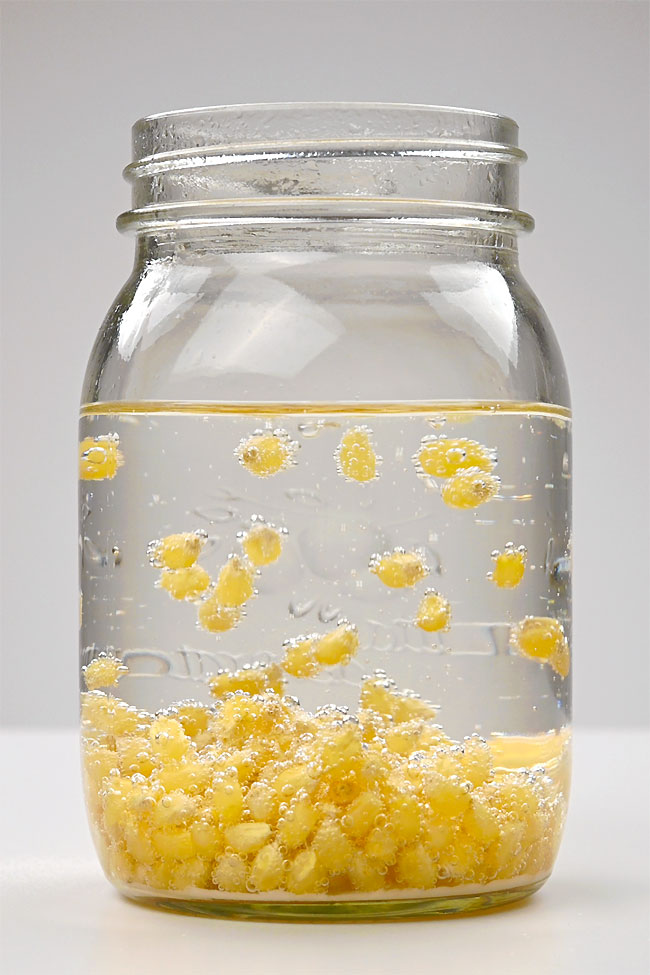 Dancing popcorn kernels in a mason jar