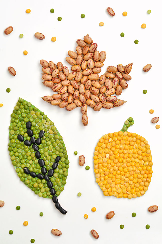 Maple leaf, simple leaf shape, and tall pumpkin bean art