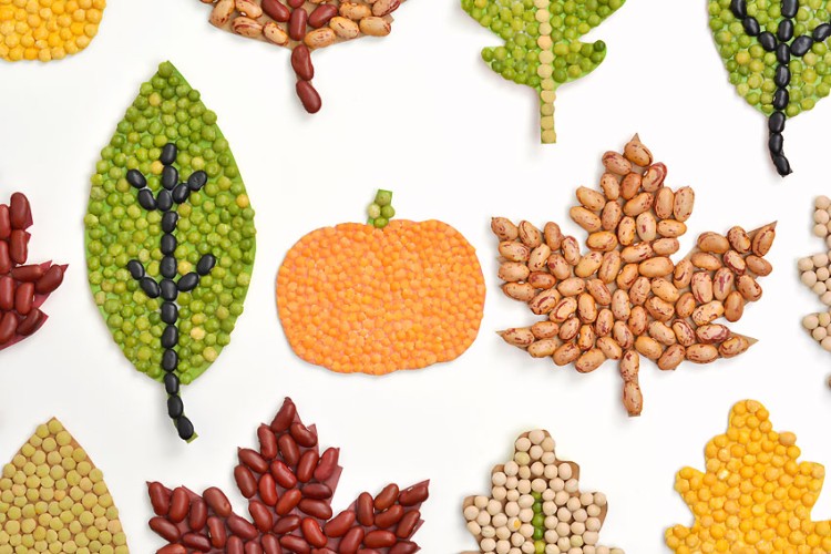 Fall bean mosaic craft