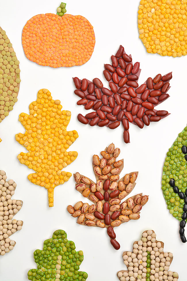 Fall leaves and pumpkin mosaics made with dried beans