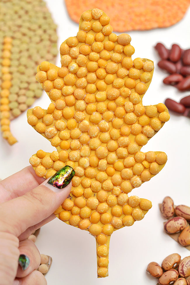 Closeup of an oak leaf bean mosaic made from yellow split peas