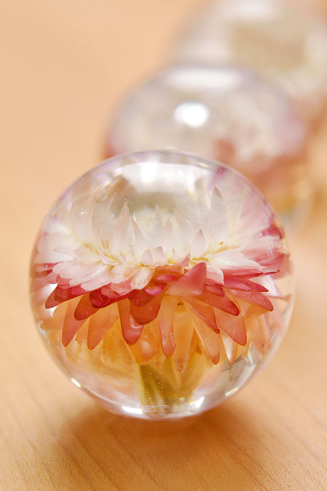 Flowers preserved in epoxy resin