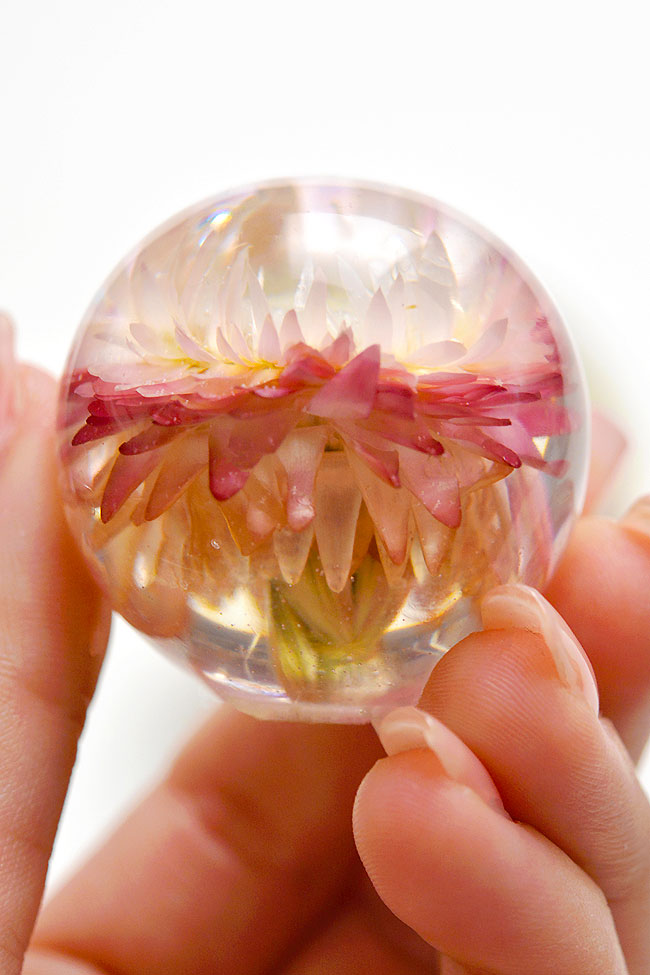 Dried flower preserved in a resin paperweight