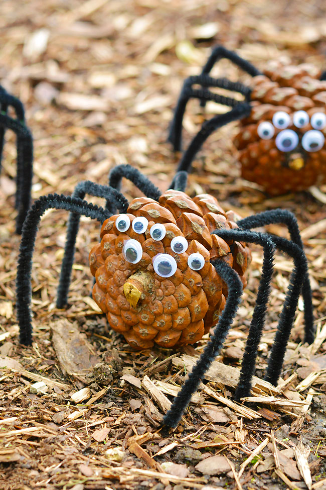 Pine cone spider with pipe cleaner legs and googly eyes